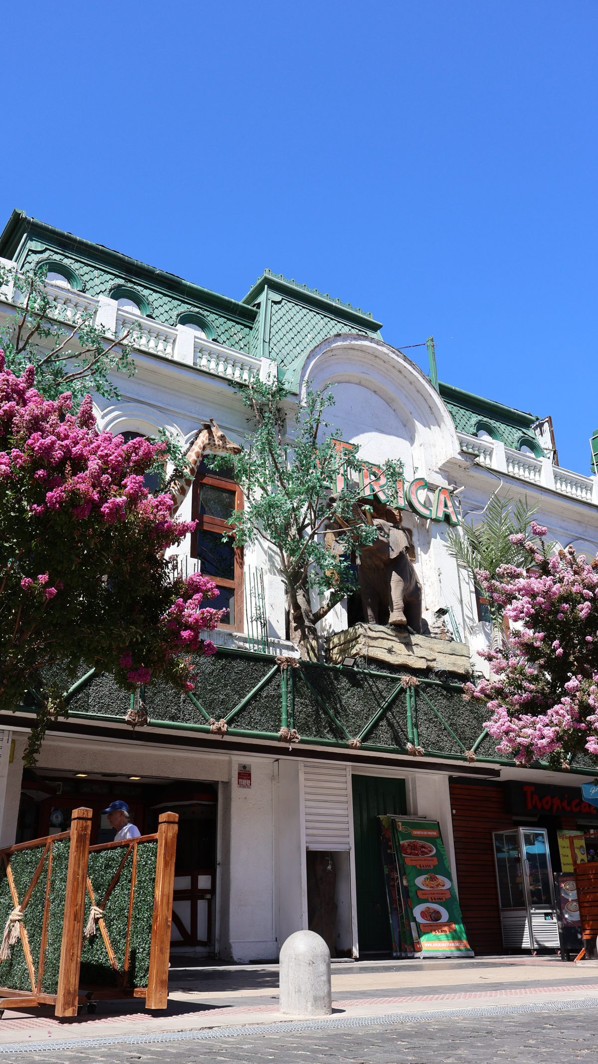 Frontis y terraza